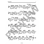 Pernambuco, Guimaraes, João Teixeira - Famous Chôros Vol.1 Pernambuco, Guimaraes, João Teixeira - Famous Chôros Vol.1