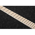 Ibanez RG5120M-FCN - Made in Japan Ibanez RG5120M-FCN - Made in Japan
