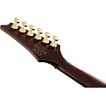 Ibanez SEW761FM-NTF  Standard Series