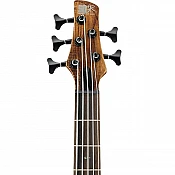 5-strunové basgitary