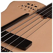 Bezpražcové basgitary