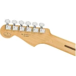 Fender Limited Edition Player Stratocaster®, Maple Fingerboard, Inca Silver