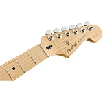 Fender Player Stratocaster®, Maple Fingerboard, Tidepool