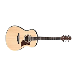 Ibanez AAM50-OPN