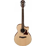 Ibanez AE1-LG limited run Ibanez AE1-LG limited run