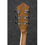 Ibanez AE1-LG limited run Ibanez AE1-LG limited run