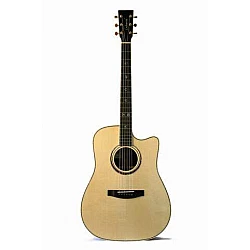 Lakewood D-53 CP - Akustická gitara