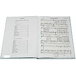 Jaromír Nohavica - Divné století