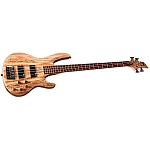 ESP LTD B-204SM