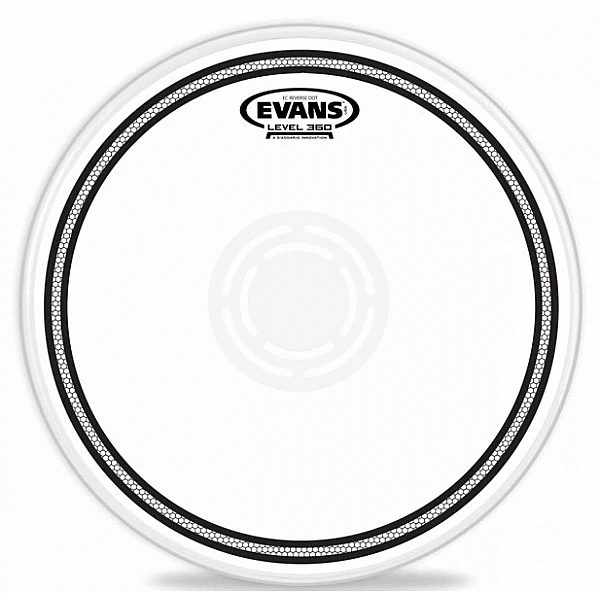 Evans B14 EC1RD - blana na rytmičák 14"
